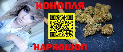 ALPHA PVP Ярославль