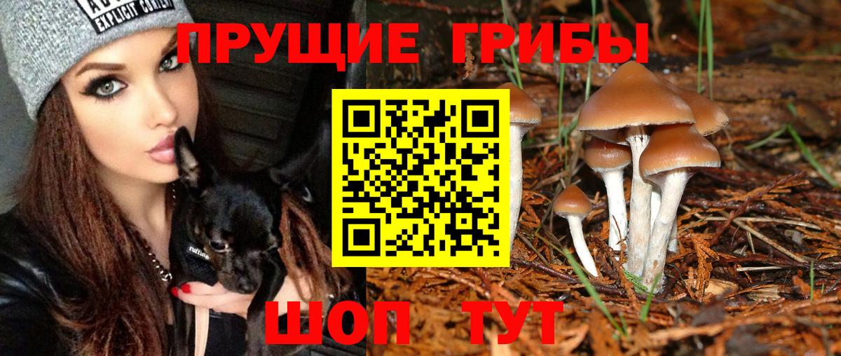 Галлюциногенные грибы GOLDEN TEACHER Выкса